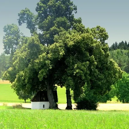 Holiday Chapel *